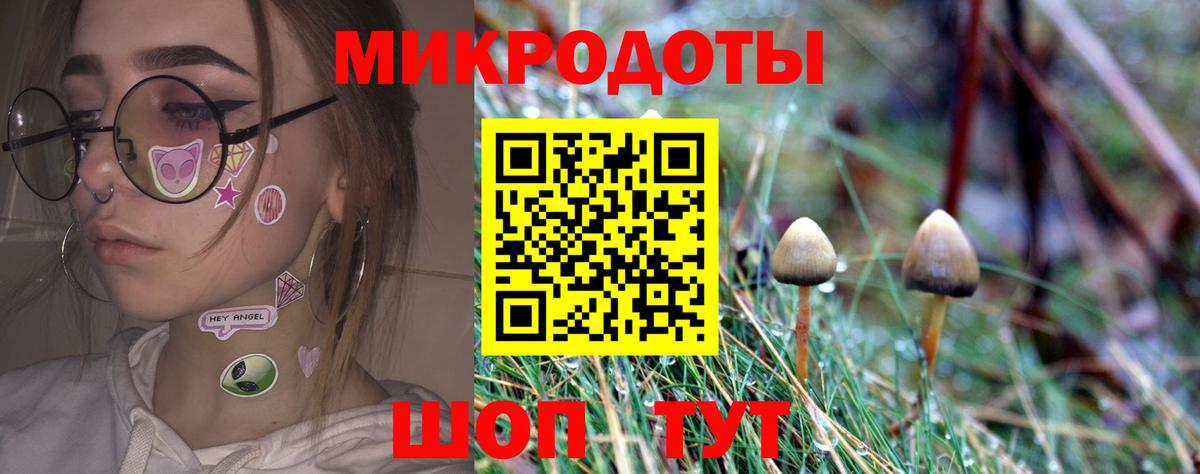 Псилоцибиновые грибы Psilocybine cubensis  Вход с VPN  Киреевск 